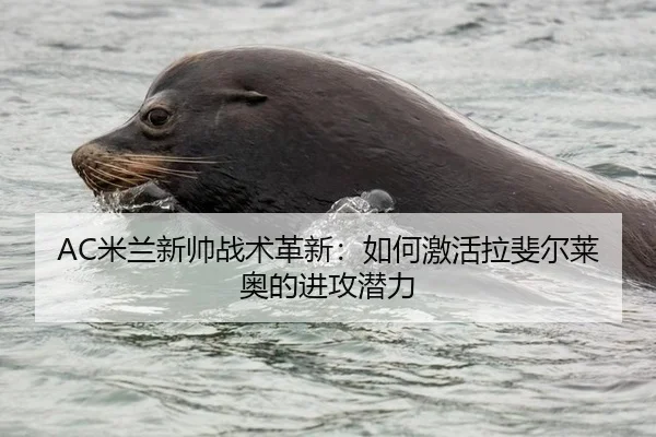 AC米兰新帅战术革新：如何激活拉斐尔莱奥的进攻潜力